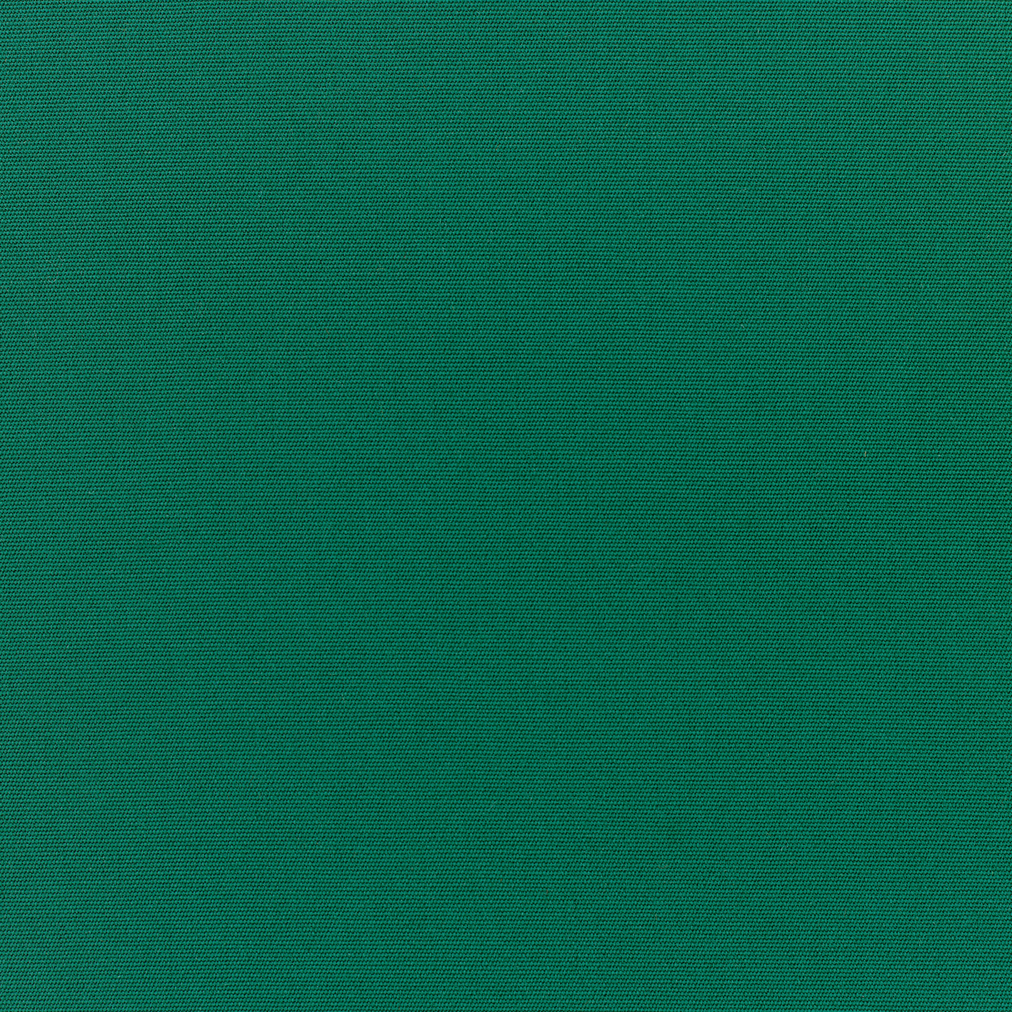 Canvas Forest Green fabric swatch