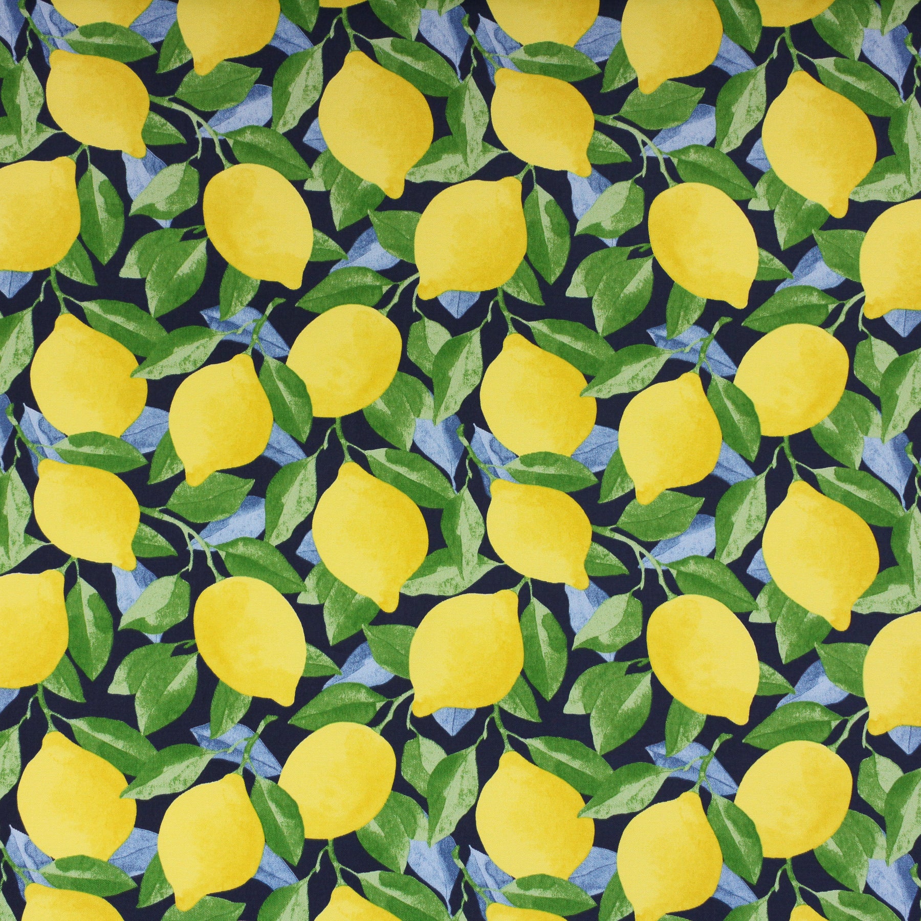 Corded Outdoor Deep Seating Pillow and Cushion Set - Richloom - Citrus Sapphire 30 in W x 27 in D x 5 in H