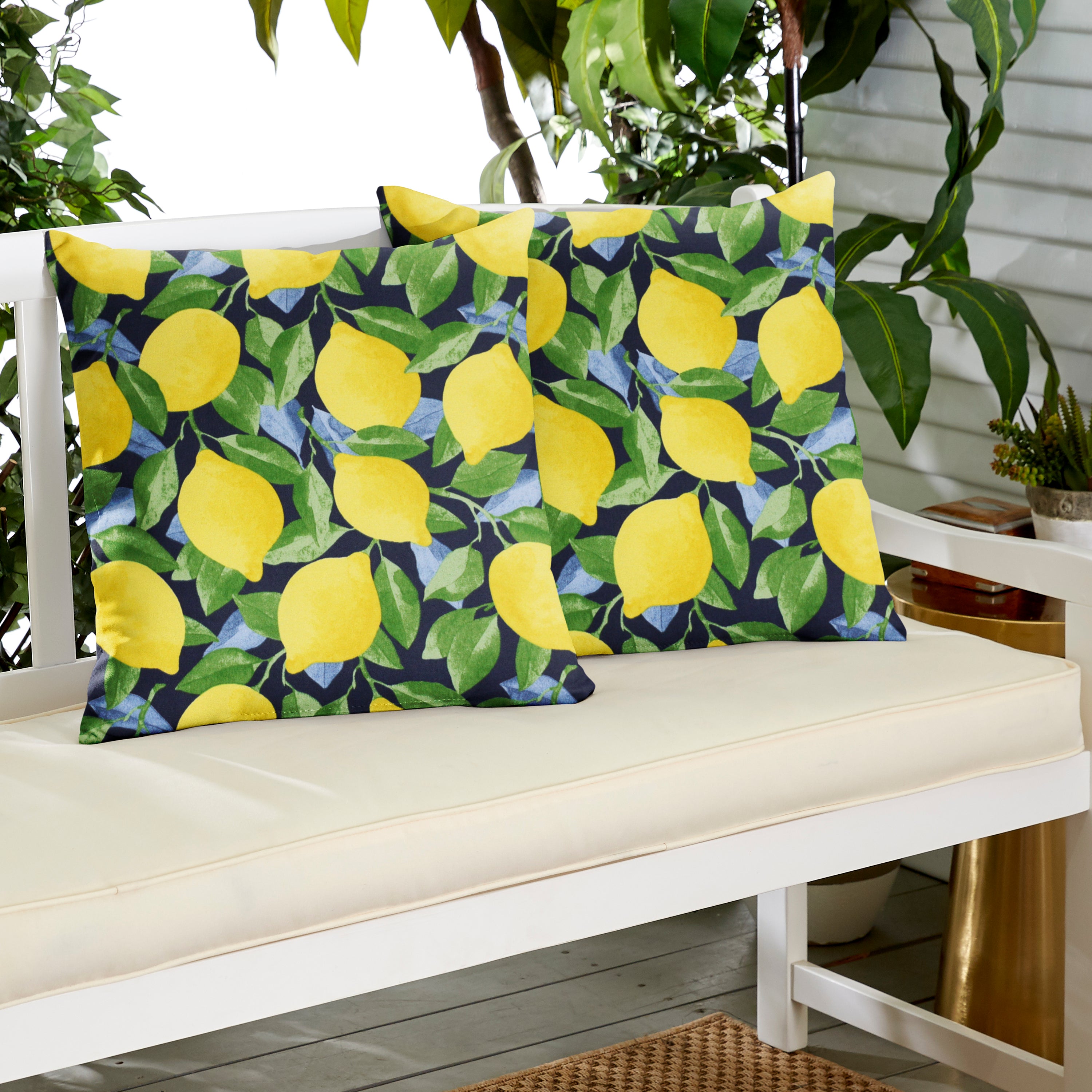 Citrus Sapphire Knife Edge Outdoor Square Pillow Set of 2